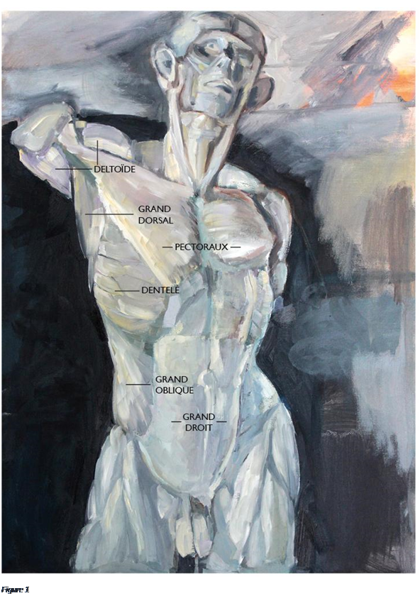 Zone de Texte:  
Figure 48

Peinture 57 : Vue de face
